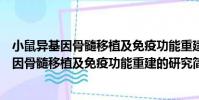 小鼠異基因骨髓移植及免疫功能重建的研究(關于小鼠異基因骨髓移植及免疫功能重建的研究簡介)