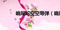 響尾蛇空空導彈(響尾蛇甩棍)