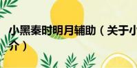 小黑秦時明月輔助(關于小黑秦時明月輔助簡介)