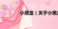 小黑盒(關于小黑盒簡介)