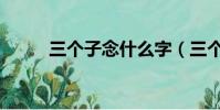 三個子念什么字(三個子念什么)