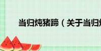 當歸燉豬蹄(關于當歸燉豬蹄介紹)