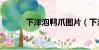 下洋泡鴨爪圖片(下洋泡鴨爪)