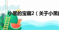 小黑的寶藏2(關于小黑的寶藏2簡介)