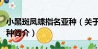 小黑斑鳳蝶指名亞種(關于小黑斑鳳蝶指名亞種簡介)