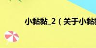 小黏黏_2(關于小黏黏_2簡介)