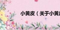 小黃皮(關于小黃皮簡介)