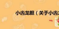 小齒龍膽(關于小齒龍膽簡介)