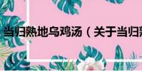 當歸熟地烏雞湯(關于當歸熟地烏雞湯介紹)