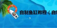 自制魚缸教程(自制魚缸)