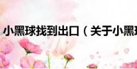小黑球找到出口(關于小黑球找到出口簡介)