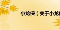 小龍俠(關于小龍俠簡介)