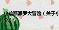 小龍斯派羅大冒險(關于小龍斯派羅大冒險簡介)
