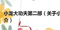 小龍大功夫第二部(關于小龍大功夫第二部簡介)