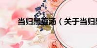 當歸黑豆湯(關于當歸黑豆湯介紹)