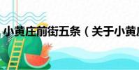 小黃莊前街五條(關于小黃莊前街五條簡介)