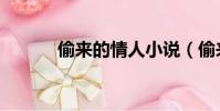 偷來的情人小說(偷來的情人)