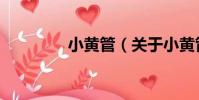 小黃管(關于小黃管簡介)