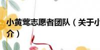 小黃鶯志愿者團隊(關于小黃鶯志愿者團隊簡介)