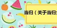 當歸(關于當歸介紹)