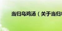 當歸烏雞湯(關于當歸烏雞湯介紹)