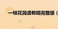 一枝花簡譜教唱完整版(一枝花簡譜)