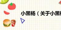 小黑楊(關于小黑楊簡介)