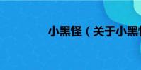 小黑怪(關于小黑怪簡介)