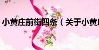 小黃莊前街四條(關于小黃莊前街四條簡介)