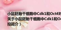 小鼠胚胎干細胞中Cdk1和Oct4對Cdx2基因表達的調控(關于小鼠胚胎干細胞中Cdk1和Oct4對Cdx2基因表達的調控簡介)
