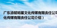 廣東添賦明星文化傳媒有限責任公司(關于廣東添賦明星文化傳媒有限責任公司介紹)