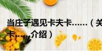 當莊子遇見卡夫卡……(關于當莊子遇見卡夫卡……介紹)