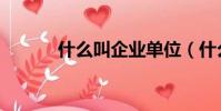 什么叫企業單位(什么叫企業)
