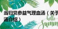 當歸黨參益氣理血湯(關于當歸黨參益氣理血湯介紹)