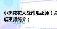 小黑花花大戰南瓜巫師(關于小黑花花大戰南瓜巫師簡介)
