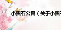 小黑石公寓(關于小黑石公寓簡介)