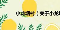 小龍塘村(關于小龍塘村簡介)