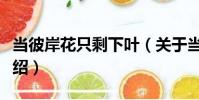 當彼岸花只剩下葉(關于當彼岸花只剩下葉介紹)