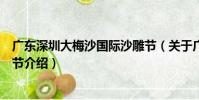廣東深圳大梅沙國際沙雕節(關于廣東深圳大梅沙國際沙雕節介紹)