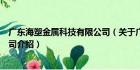廣東海塑金屬科技有限公司(關于廣東海塑金屬科技有限公司介紹)