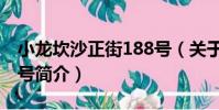 小龍坎沙正街188號(關于小龍坎沙正街188號簡介)