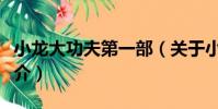 小龍大功夫第一部(關于小龍大功夫第一部簡介)