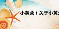 小黃營(關于小黃營簡介)