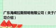 廣東海閣拉斯照明有限公司(關于廣東海閣拉斯照明有限公司介紹)