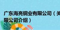 廣東海亮銅業有限公司(關于廣東海亮銅業有限公司介紹)