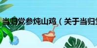 當歸黨參燉山雞(關于當歸黨參燉山雞介紹)