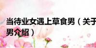 當待業女遇上草食男(關于當待業女遇上草食男介紹)