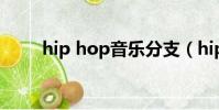 hip hop音樂分支(hip hop音樂)