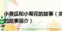 小黃瓜和小菊花的故事(關于小黃瓜和小菊花的故事簡介)