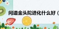 問道金頭陀進化什么好(問道金頭陀)